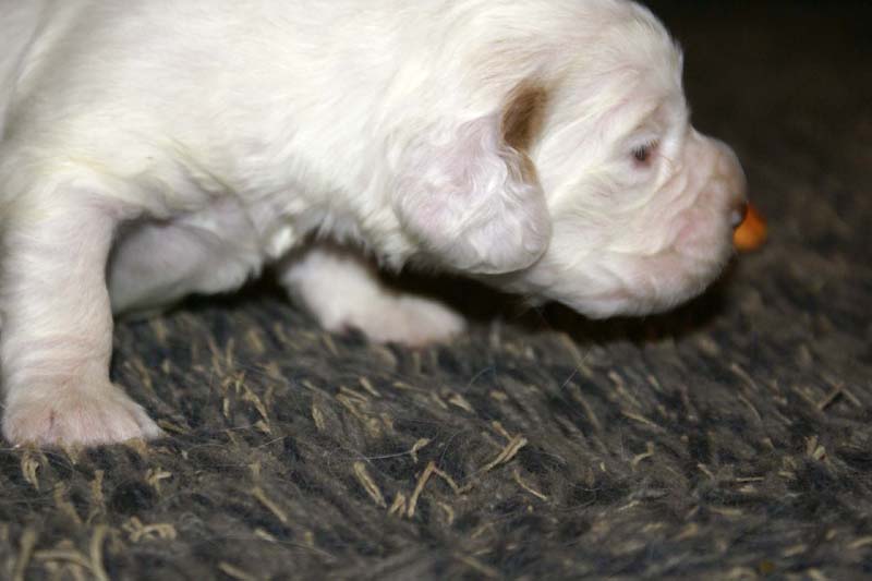 girl_pink_head_20days_m