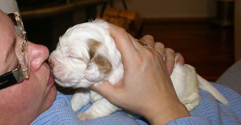 girl_pink_tail_20days_b