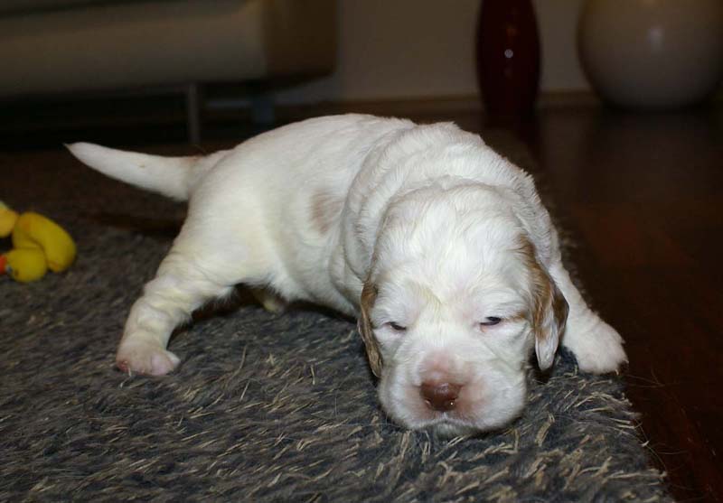 girl_pink_tail_20days_f