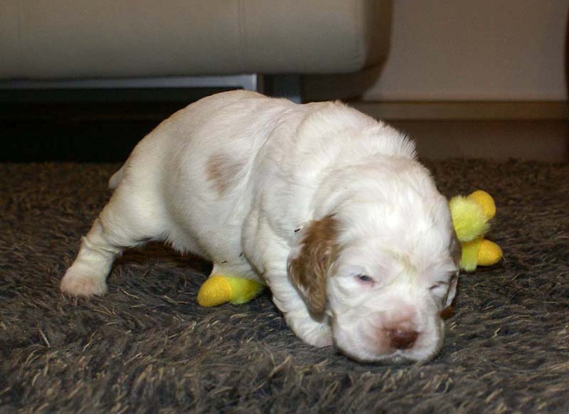 girl_pink_tail_20days_j