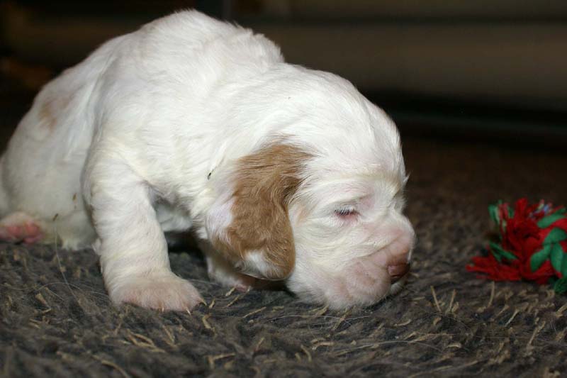 girl_pink_tail_20days_l