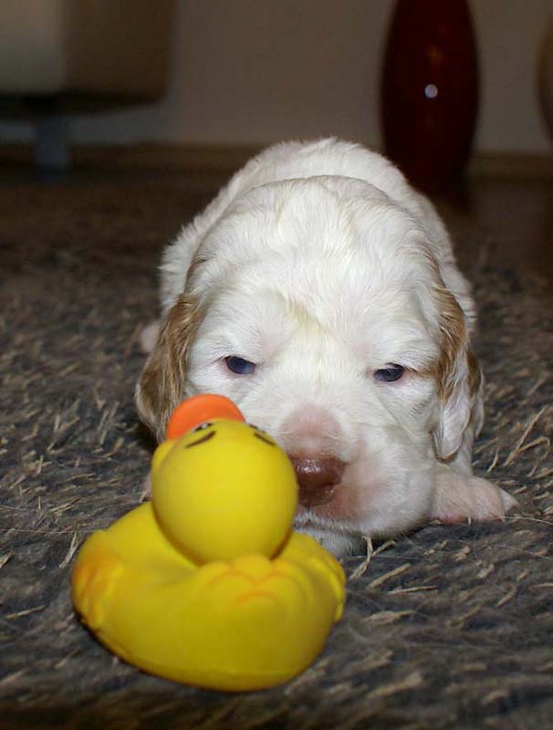 girl_pink_tail_20days_o