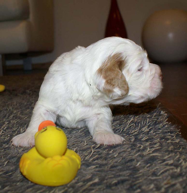 girl_pink_tail_20days_q