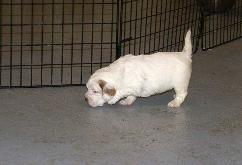 Clock-babies_23_days_old_i