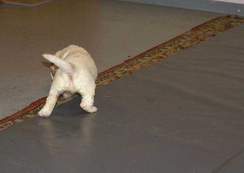 Clock-babies_23_days_old_k