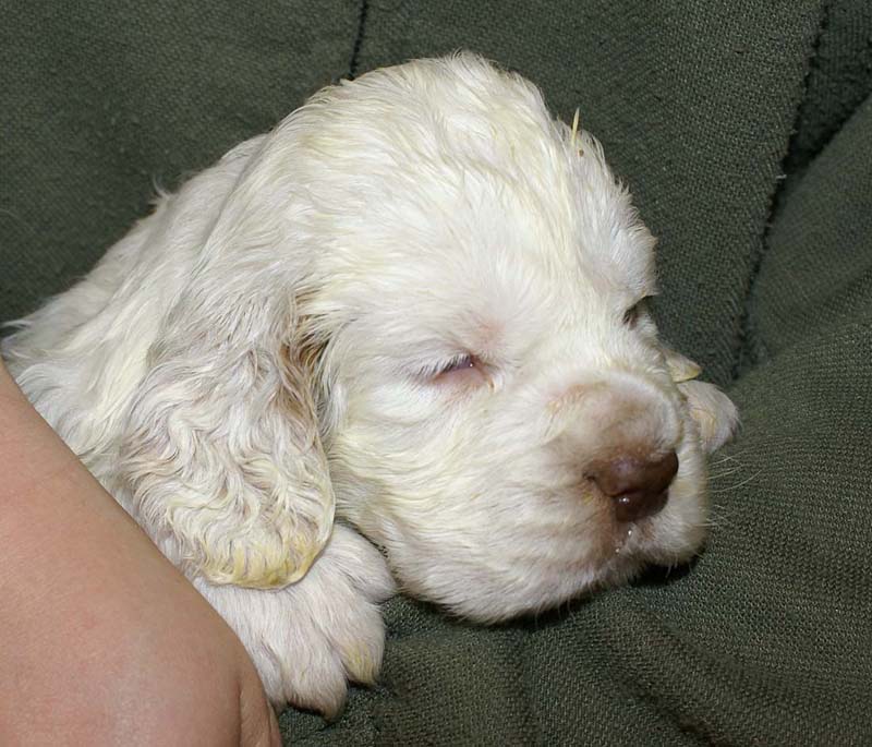 boy_purple_back_4weeks_a