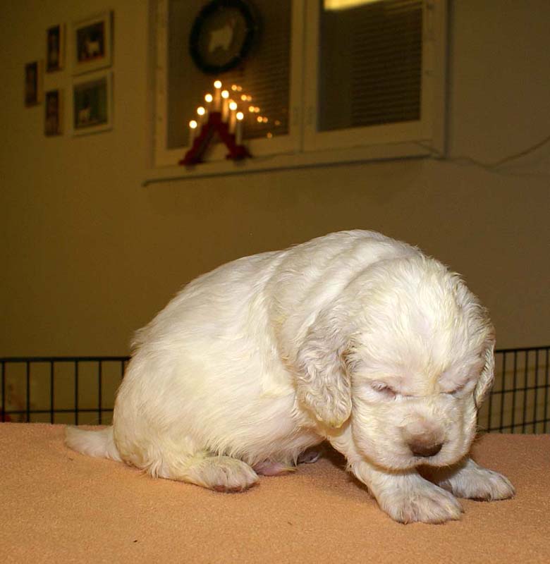 boy_purple_back_4weeks_c