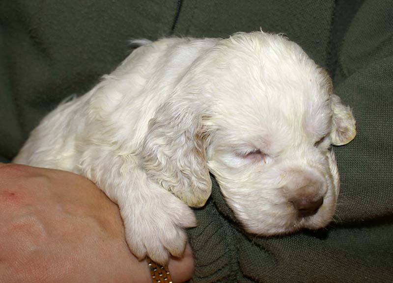 boy_purple_back_4weeks_i