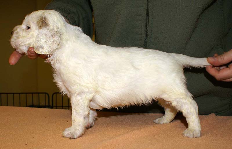 boy_purple_back_4weeks_j