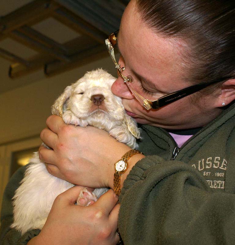 boy_purple_head_4weeks_c