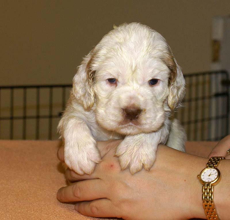 girl_pink_head_4weeks_a