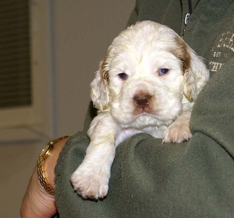 girl_pink_head_4weeks_b