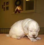 boy_purple_back_4weeks_c