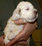 boy_purple_back_4weeks_g