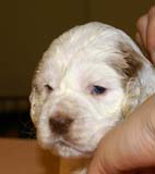 girl_pink_head_4weeks_d