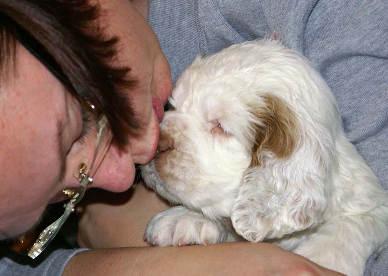 ST_Breitling_5,5weeks_a