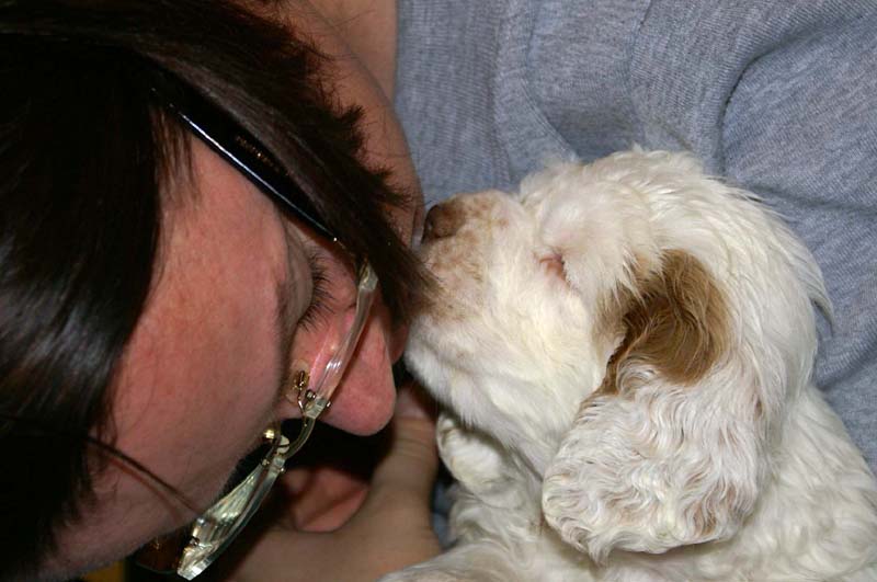 ST_Breitling_5,5weeks_h