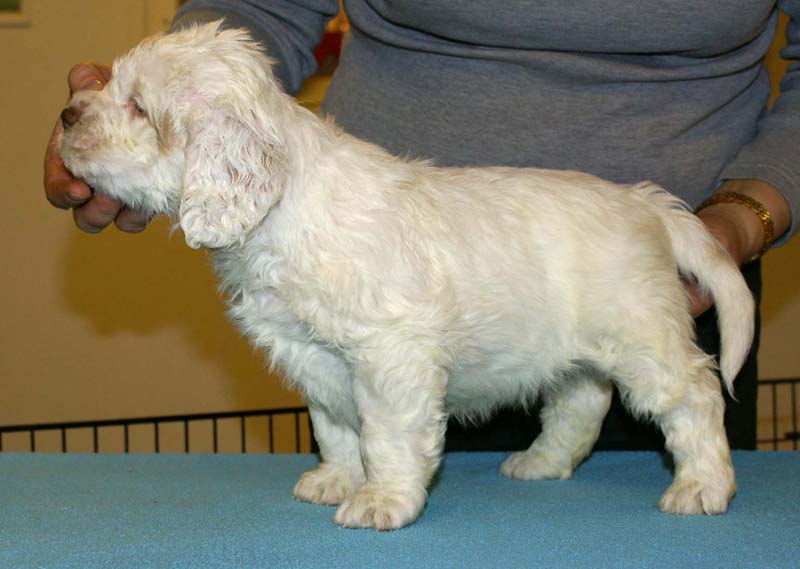 ST_Raymond_Weil_5,5weeks_f