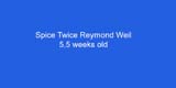 ST_Raymond_Weil_5,5weeks