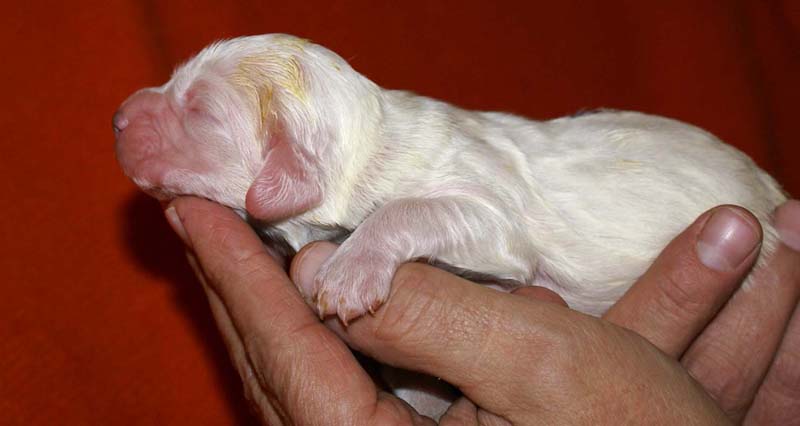 boy_purple_back_6days_b