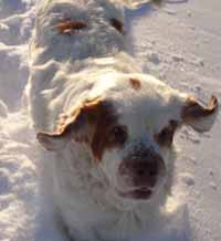Flora enjoying winter day on 28th January 2007