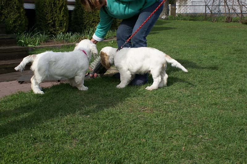 Flynn_Hilla_14weeks_a