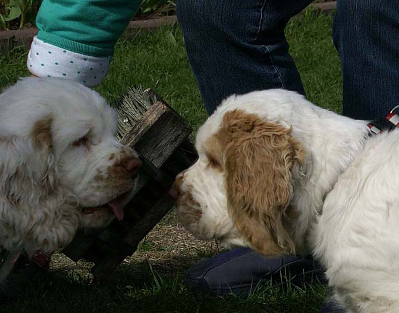 Flynn_Hilla_14weeks_b