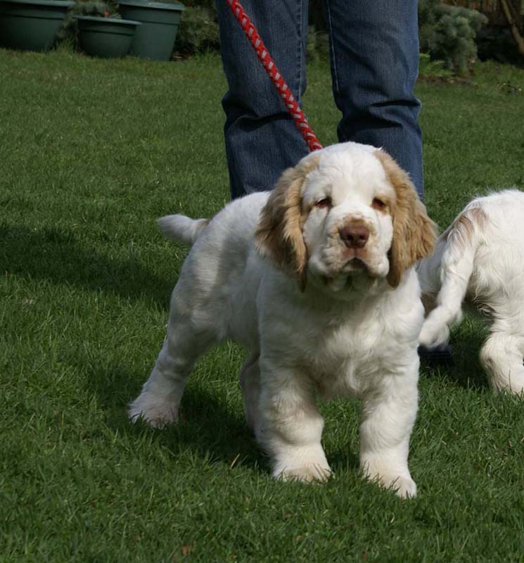 Flynn_Hilla_14weeks_c