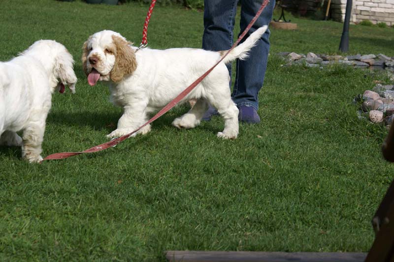 Flynn_Hilla_14weeks_d