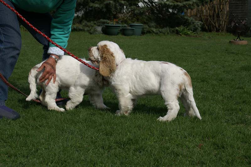 Flynn_Hilla_14weeks_e