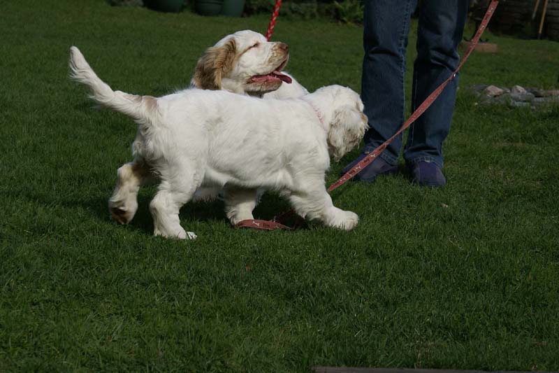 Flynn_Hilla_14weeks_f