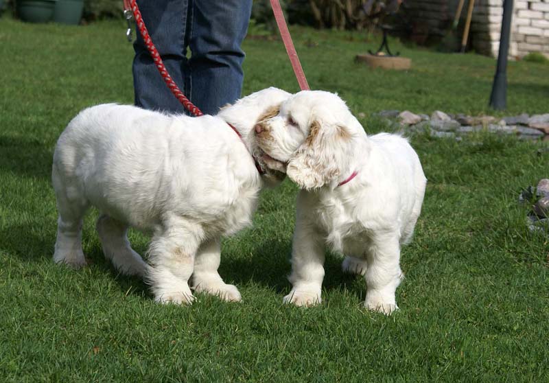 Flynn_Hilla_14weeks_h