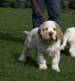 Flynn_Hilla_14weeks_c