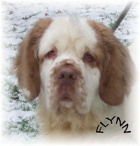 Flynn_11months_christmas2009_h