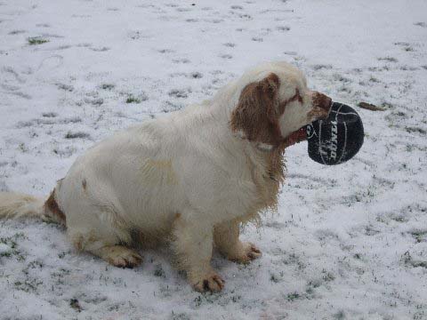 Flynn_12months_old_c