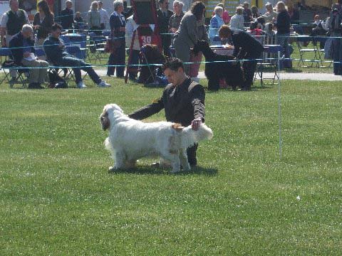 Flynn_Welks_CC_23April2010_a