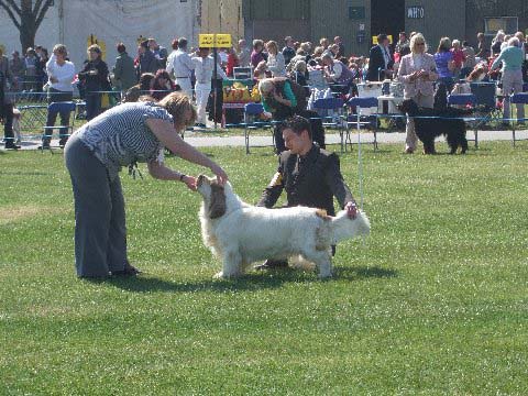 Flynn_Welks_CC_23April2010_b