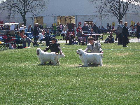 Flynn_Welks_CC_23April2010_f