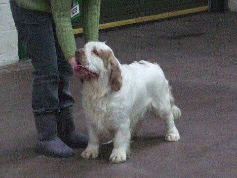 Flynn_12months_MachesterCC_b