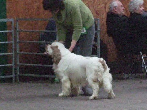 Flynn_12months_MachesterCC_d