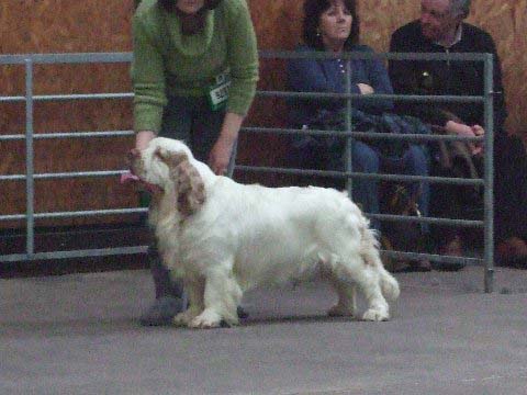 Flynn_12months_MachesterCC_e