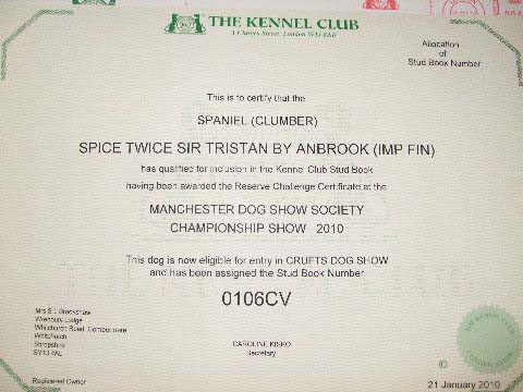 Flynn_12months_MachesterCC_g