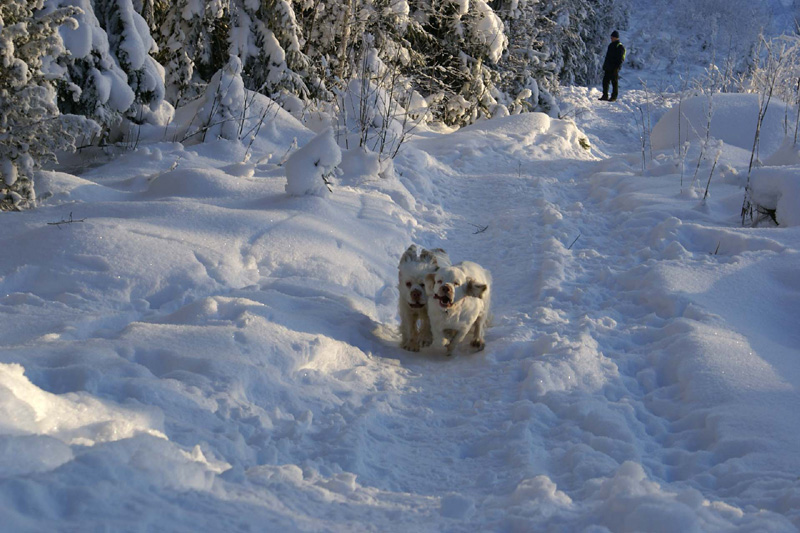 Winterwalk_23Jan2010_c_Bumbaa_Hilla