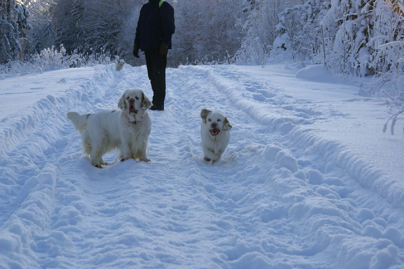 Winterwalk_23Jan2010_e_Bumbaa_Hilla_Cotton