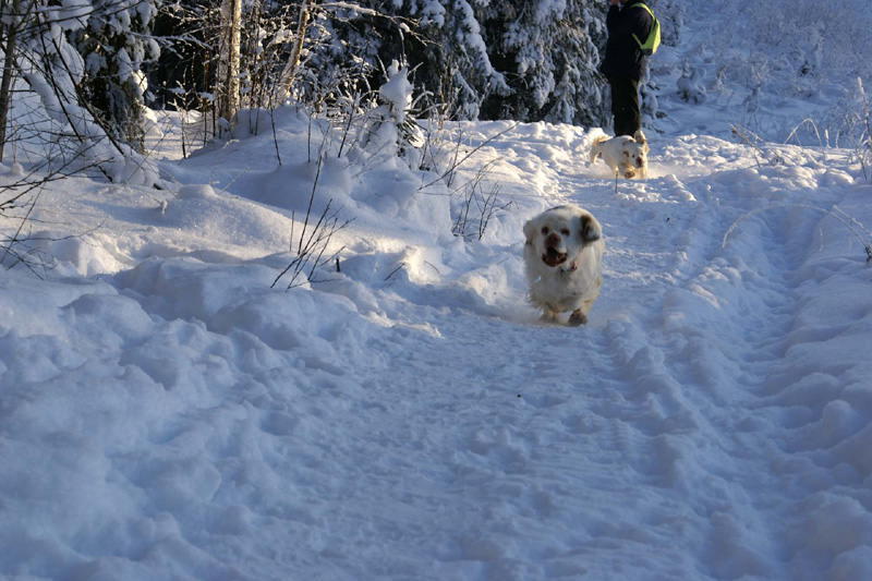 Winterwalk_23Jan2010_f_Bumbaa_Hilla