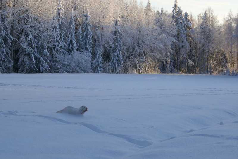 Winterwalk_23Jan2010_f_Hilla