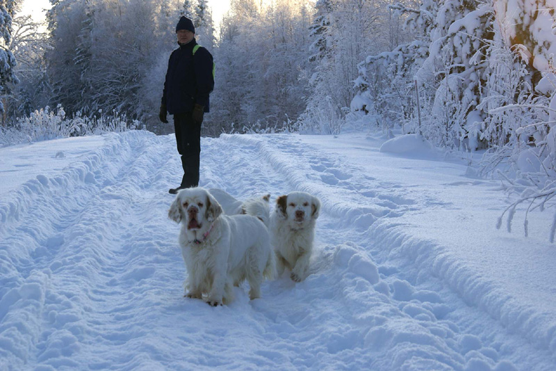 Winterwalk_23Jan2010_l_Cotton_Bumbaa