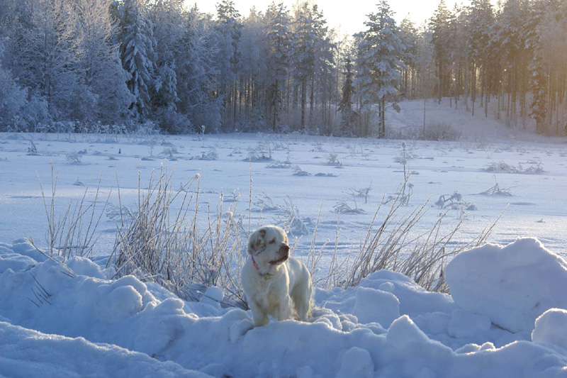 Winterwalk_23Jan2010_v_Hilla