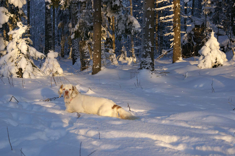 Winterwalk_23Jan2010_v_Hilla_d