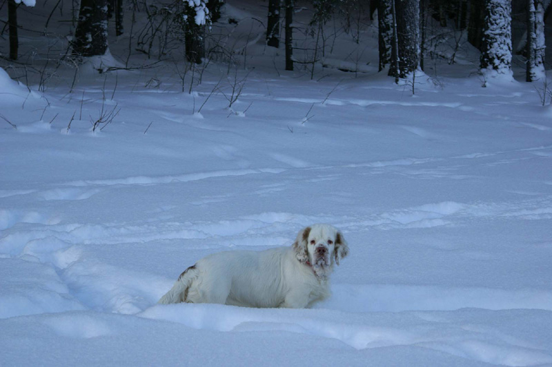 Winterwalk_23Jan2010_v_Hilla_e